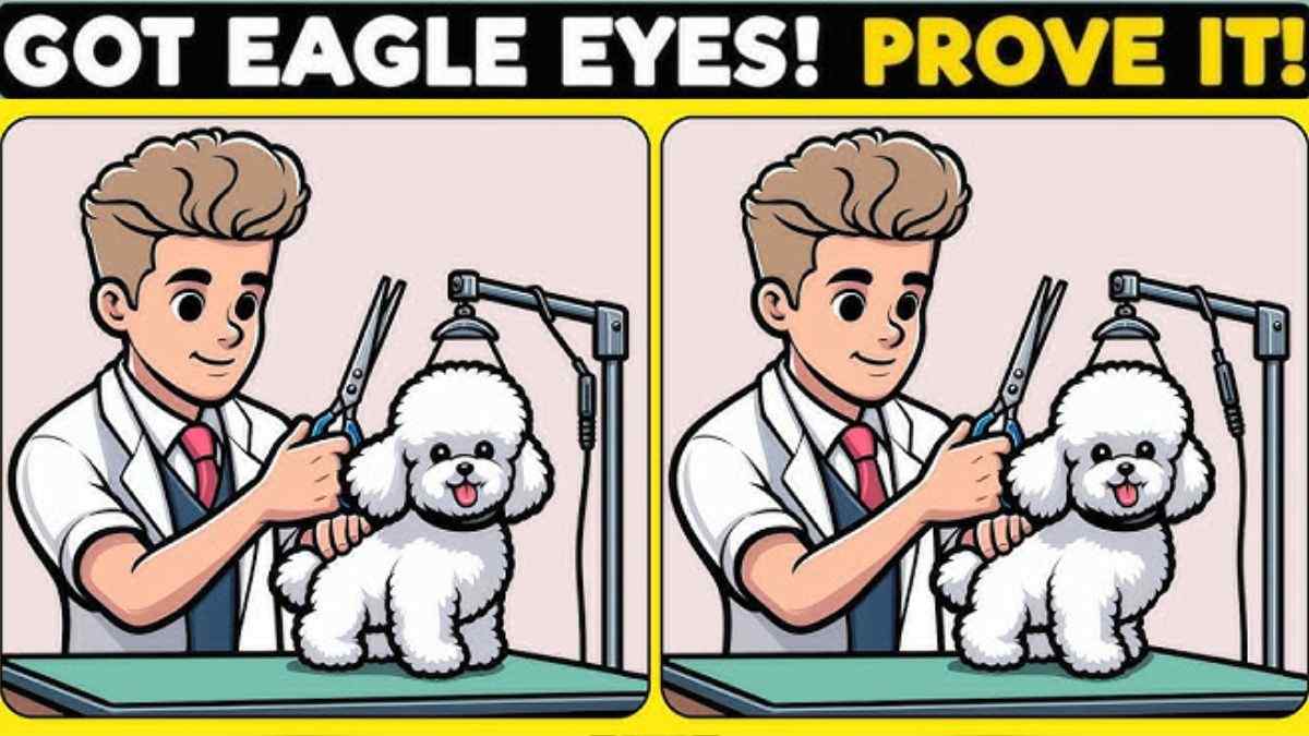 Prove You Have IQ Above 160! Solve This Tricky Brain Puzzle In 5 Seconds!