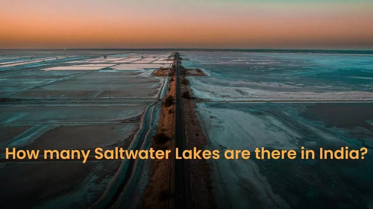 How many Saltwater Lakes are there in India? Check List, Significance & Measures Conservation