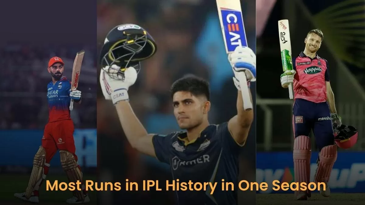 Most Runs in IPL History in One Season