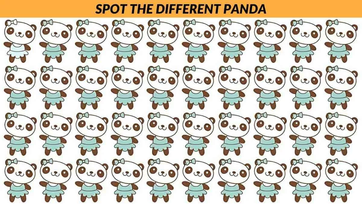 Spot the different panda