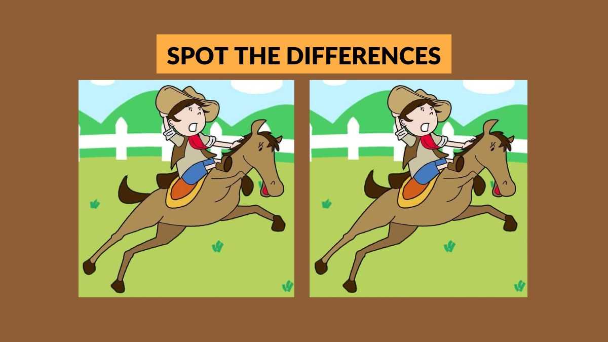 Spot 3 differences between the boy riding horse pictures in 17 seconds! 