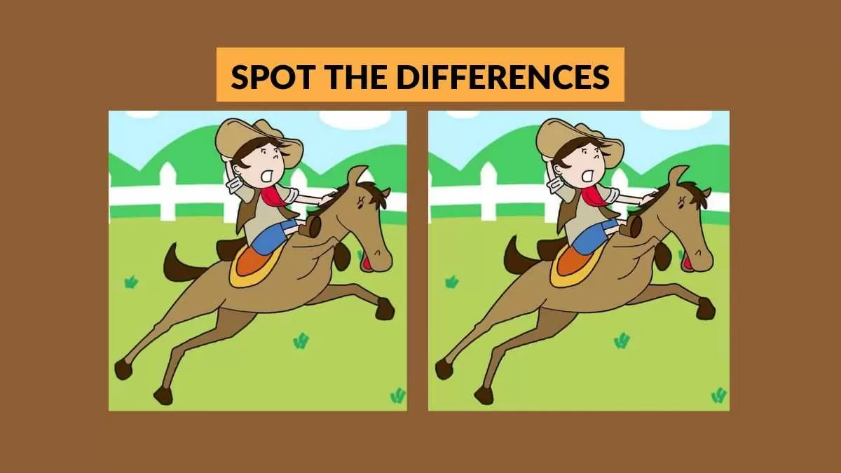 Spot 3 differences in 17 seconds