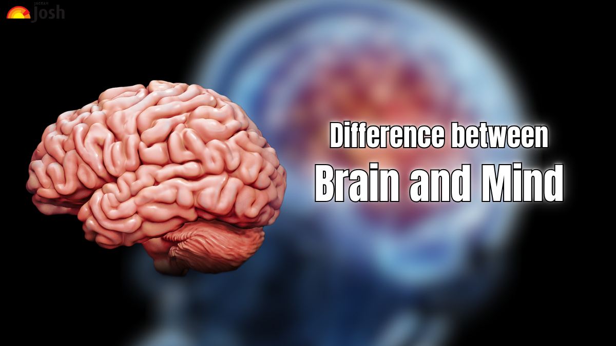 Difference Between Brain and Mind 