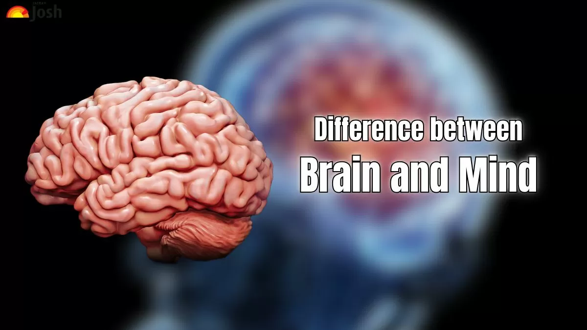Difference Between Brain and Mind