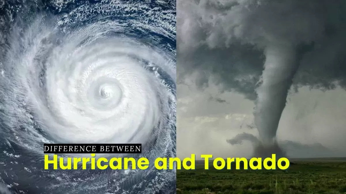 Hurricane vs Tornado: Key Differences