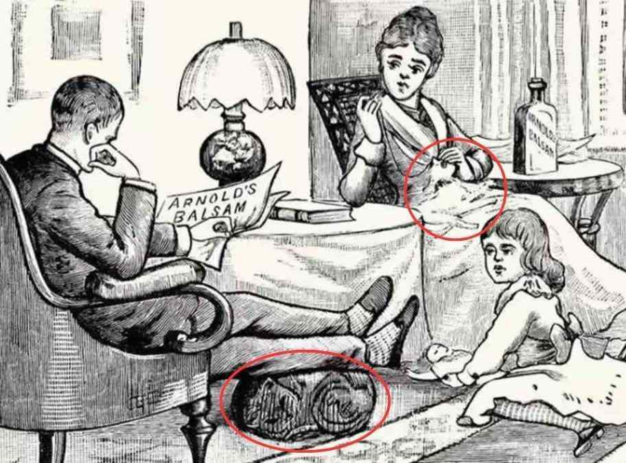 find the cat optical illusions
