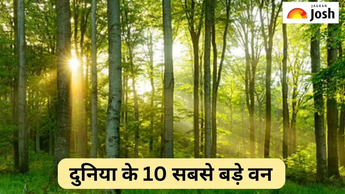 दुनिया के 10 सबसे बड़े वन