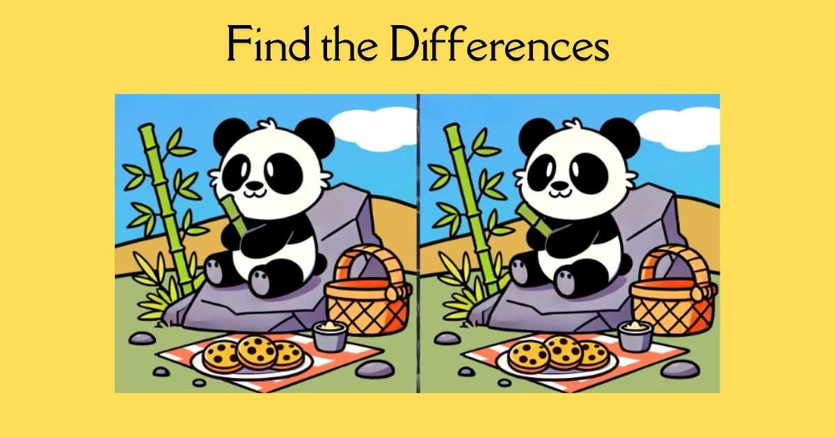 Spot the 3 Differences in Panda on a Picnic– Beat the 29-Second Challenge!