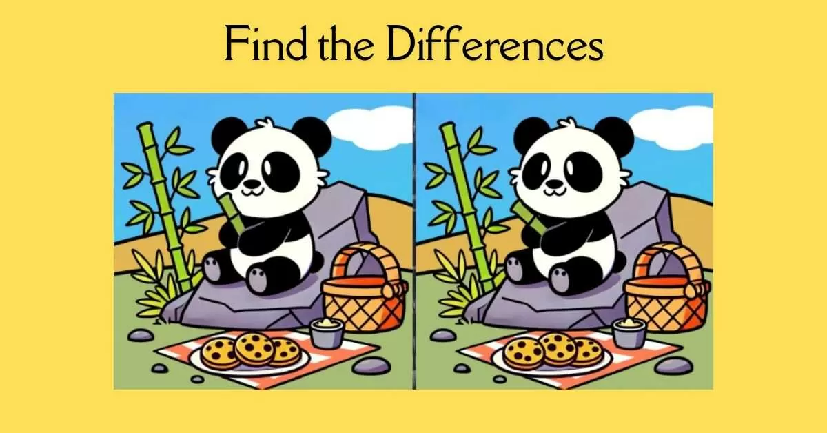 Spot the 3 Differences in Panda on a Picnic