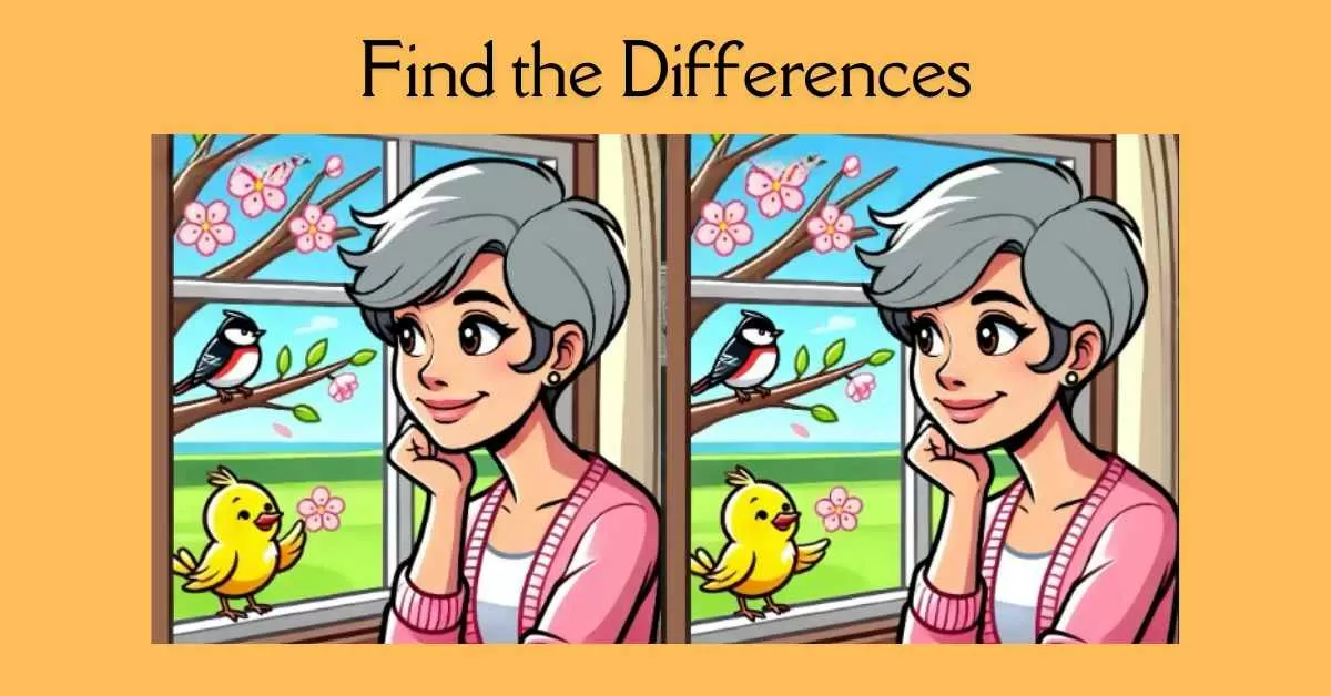 Spot the 3 Differences in Lady Watching Birds