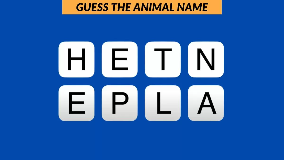 Guess the animal name