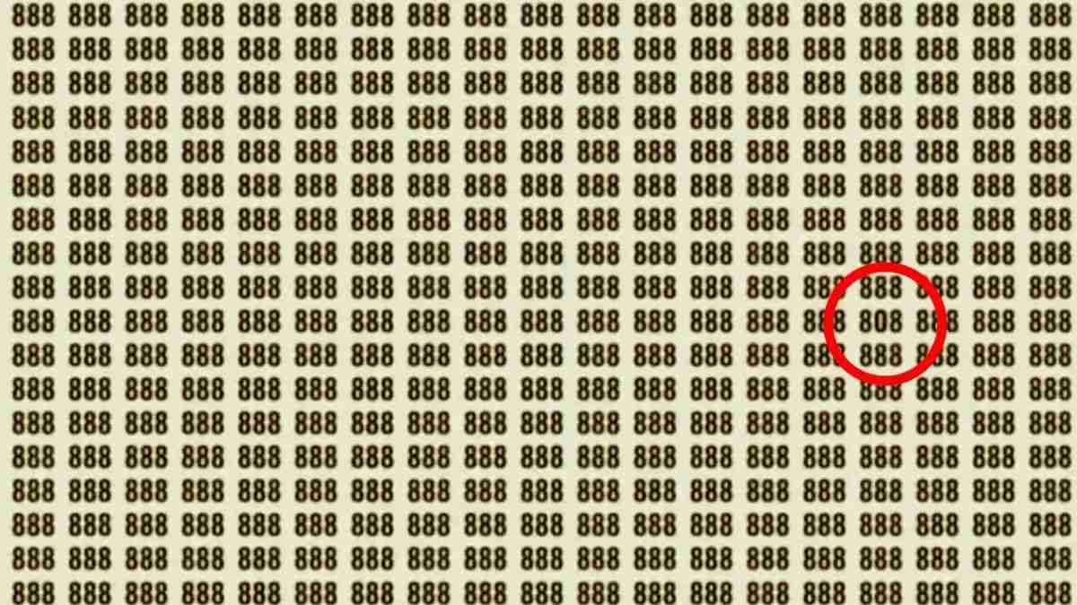 hidden optical illusions with answers