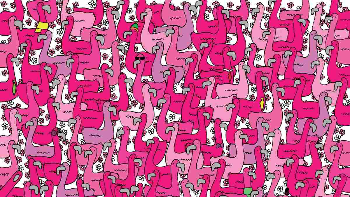 Picture Puzzle Only for Sharp Minds: Spot The Tiny Heart Hidden Among Flamingos In 5 Seconds!