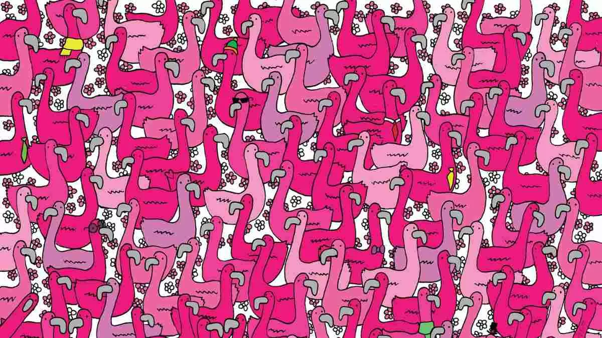 Can You Spot the Heart Among Flamingos?