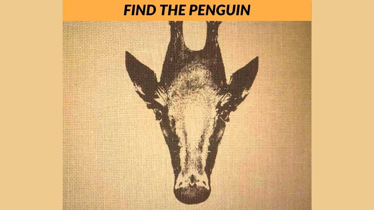 You have the most observant eyes if you can spot the penguin in 5 seconds!