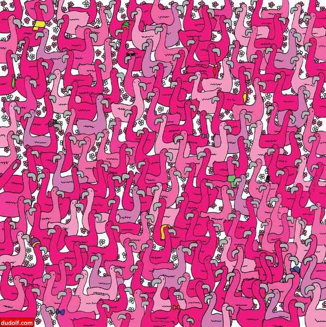 hidden picture puzzles with answers