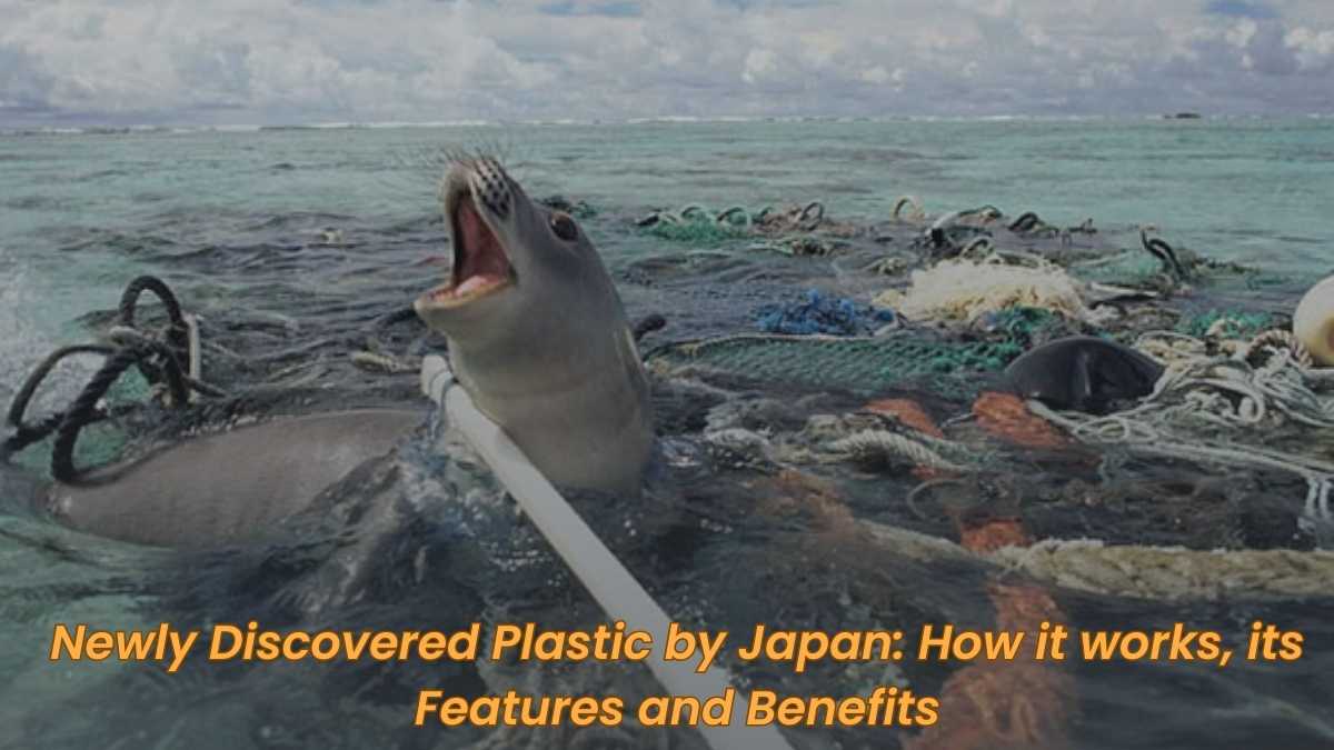 Newly Discovered Plastic by Japan: How it works, its Features and Benefits