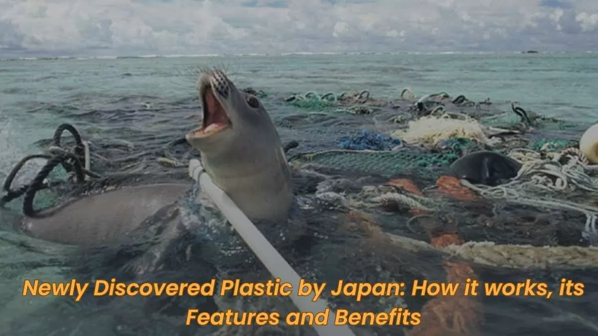 Newly Discovered Plastic by Japan: How it works, its Features and Benefits