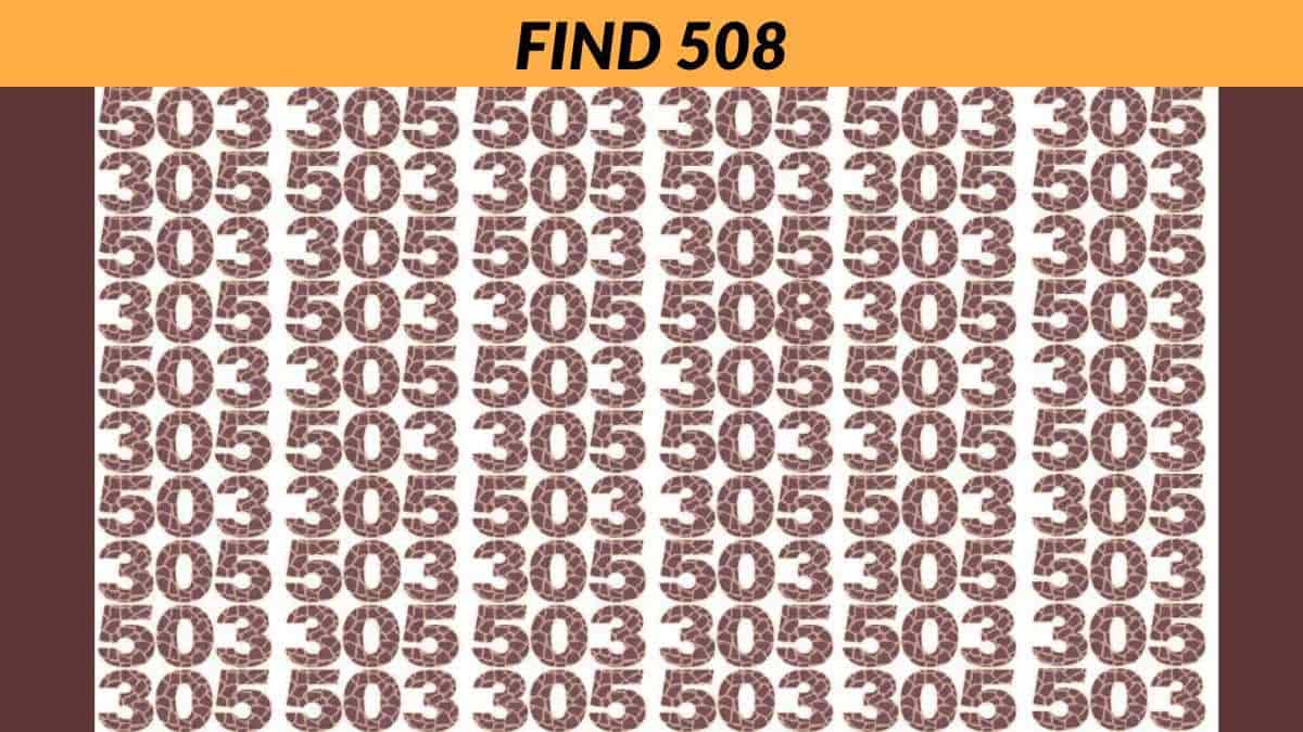 You have 4K vision if you can spot 508 in 8 seconds!