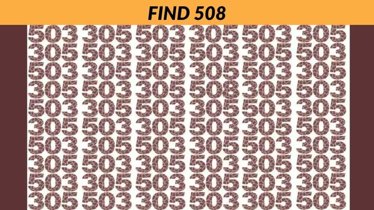 Find the number 508