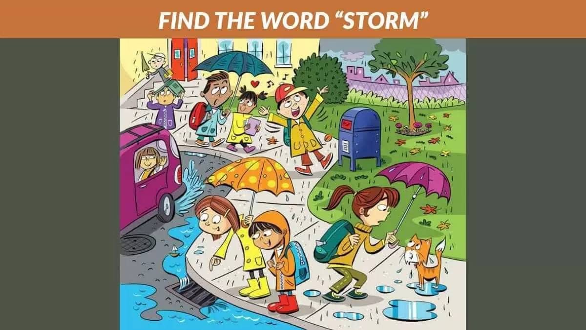 Find the word "STORM"