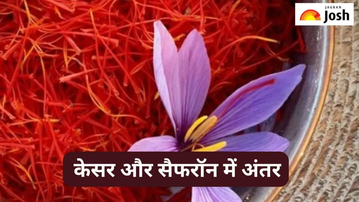 केसर और सैफरॉन में अंतर