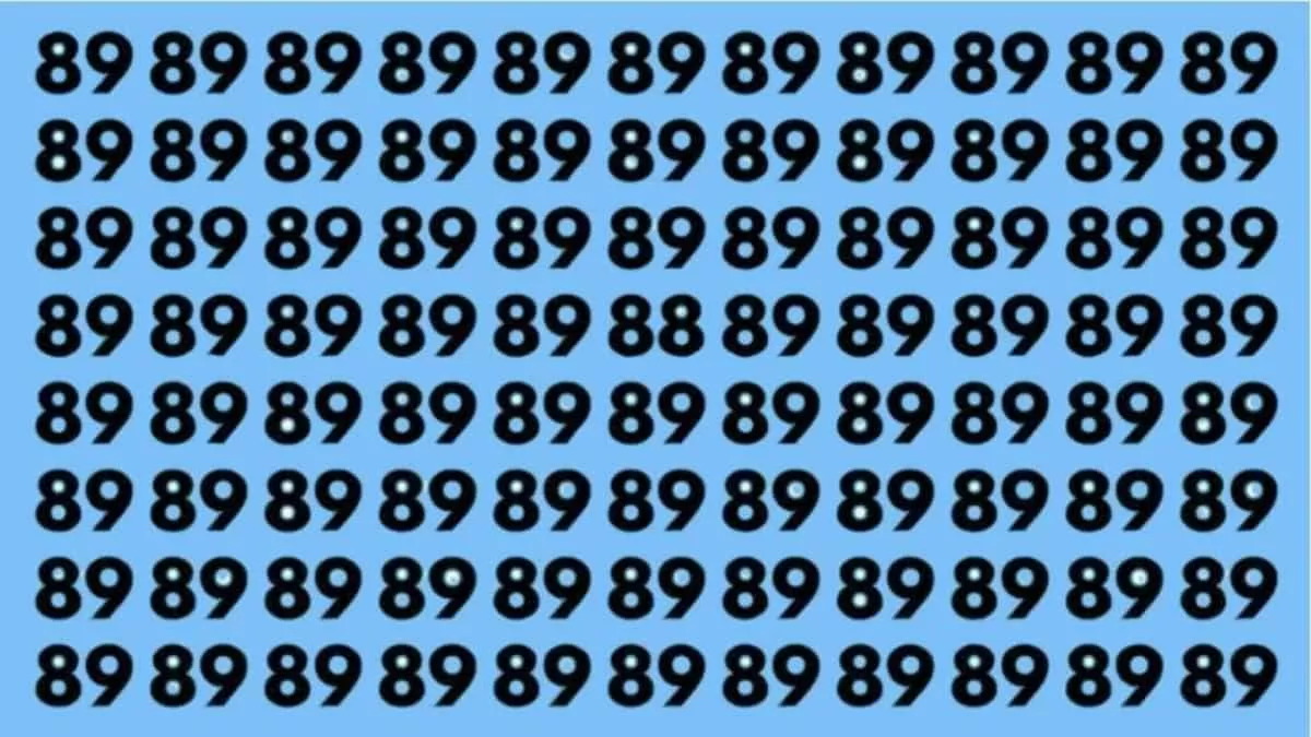 Find 88 among 89's
