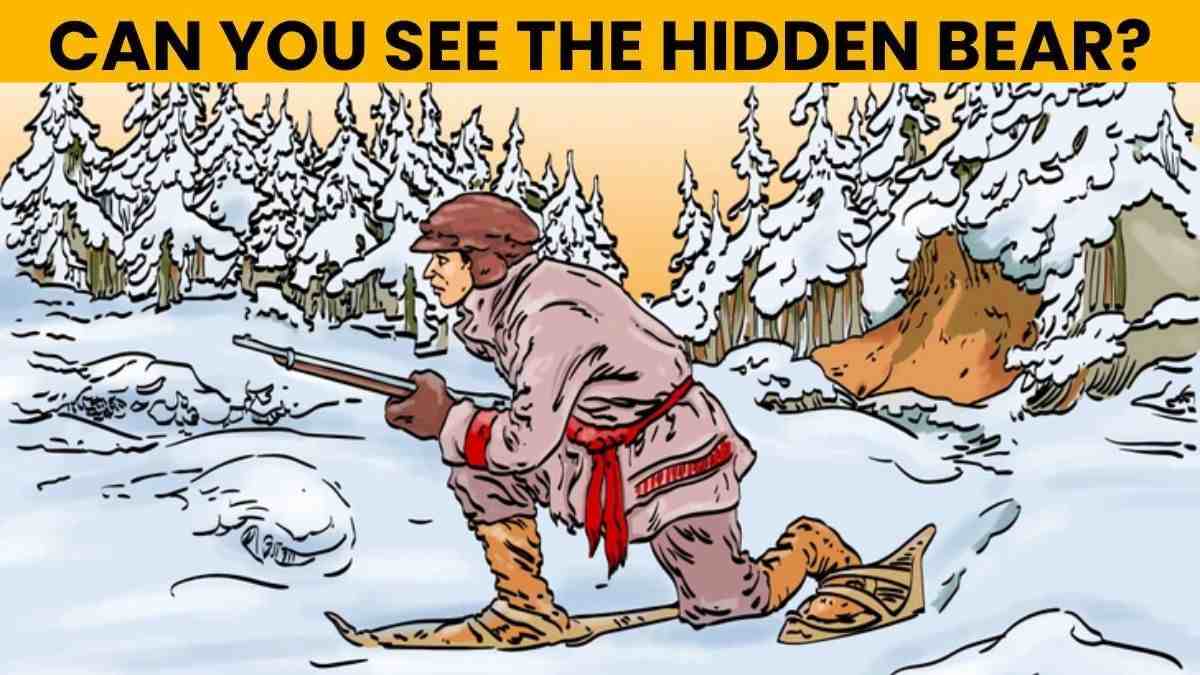 Optical Illusion IQ Test: Are You a Genius? Spot The Bear Hiding In Plain Sight In 5 Seconds!