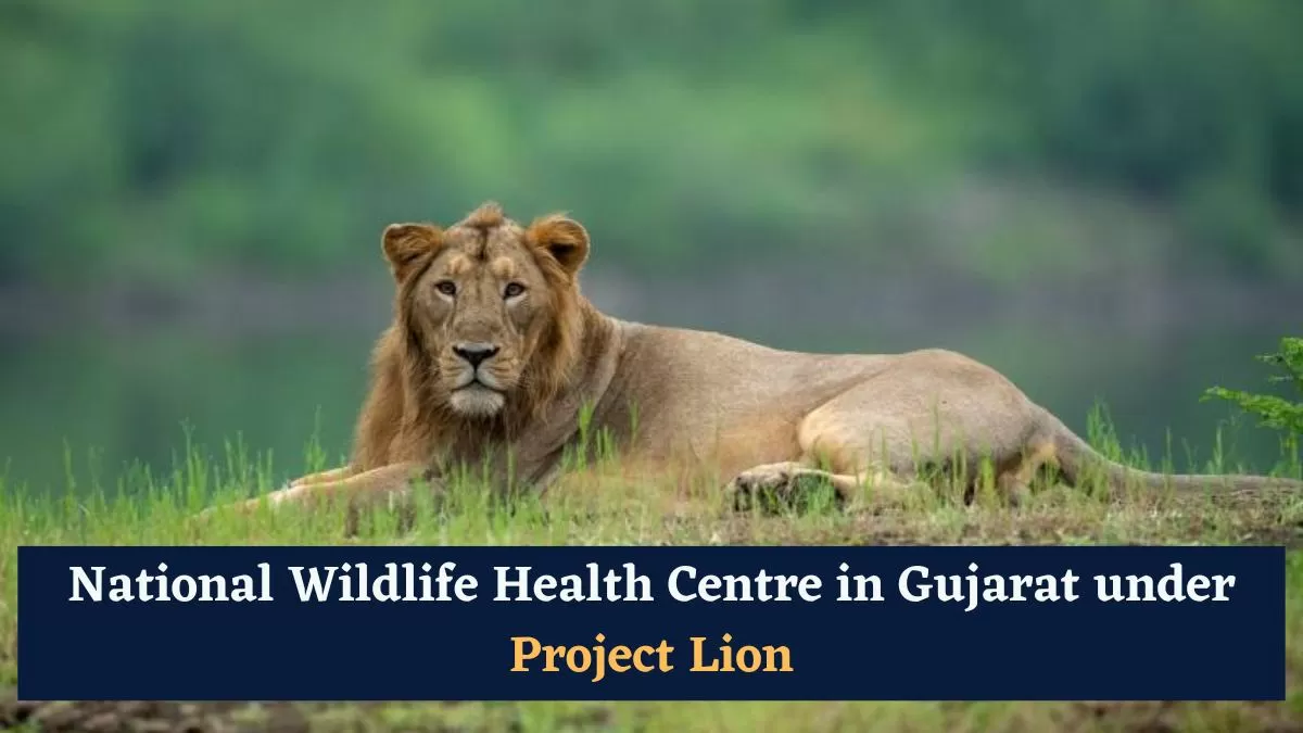 On August 15, 2020, Prime Minister Narendra Modi introduced Project Lion.