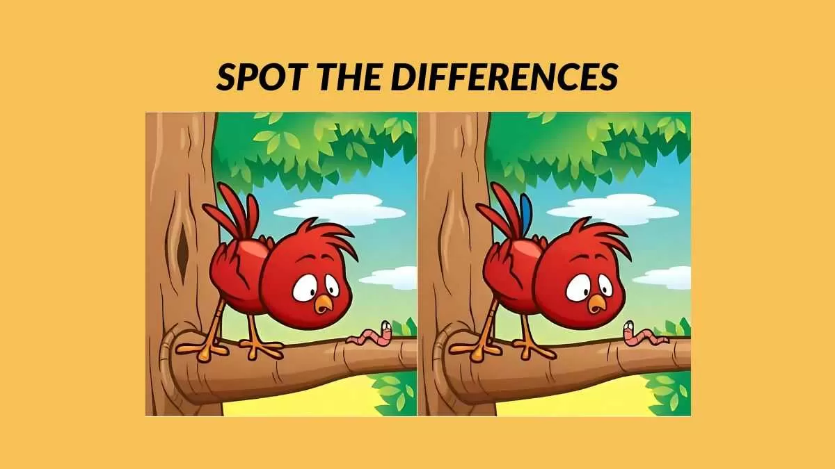 Spot 5 differences in 21 seconds