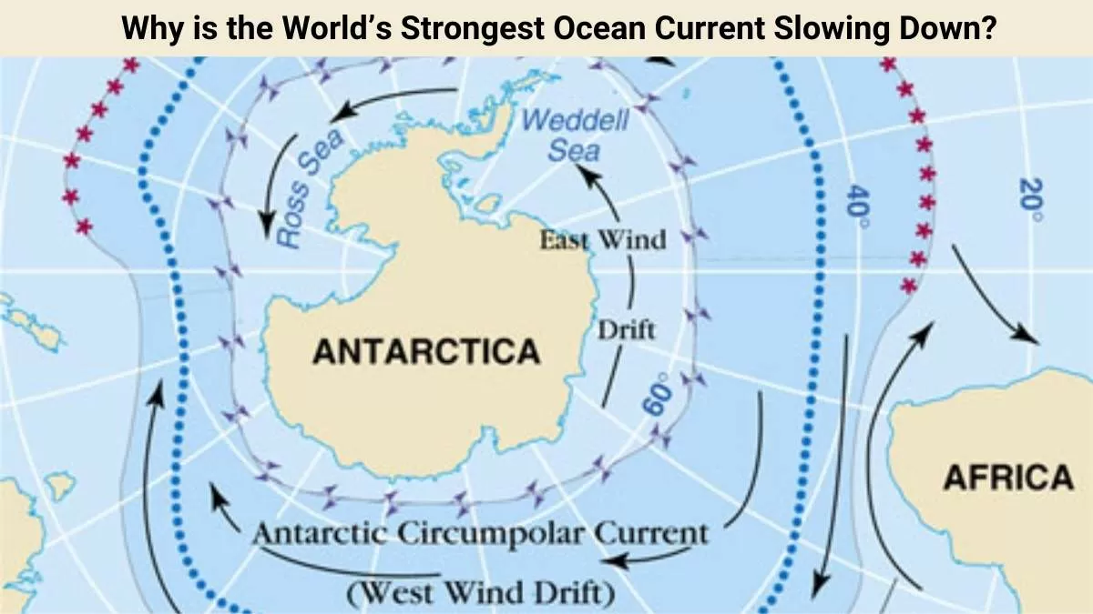 World’s Strongest Ocean Current Slowing Down