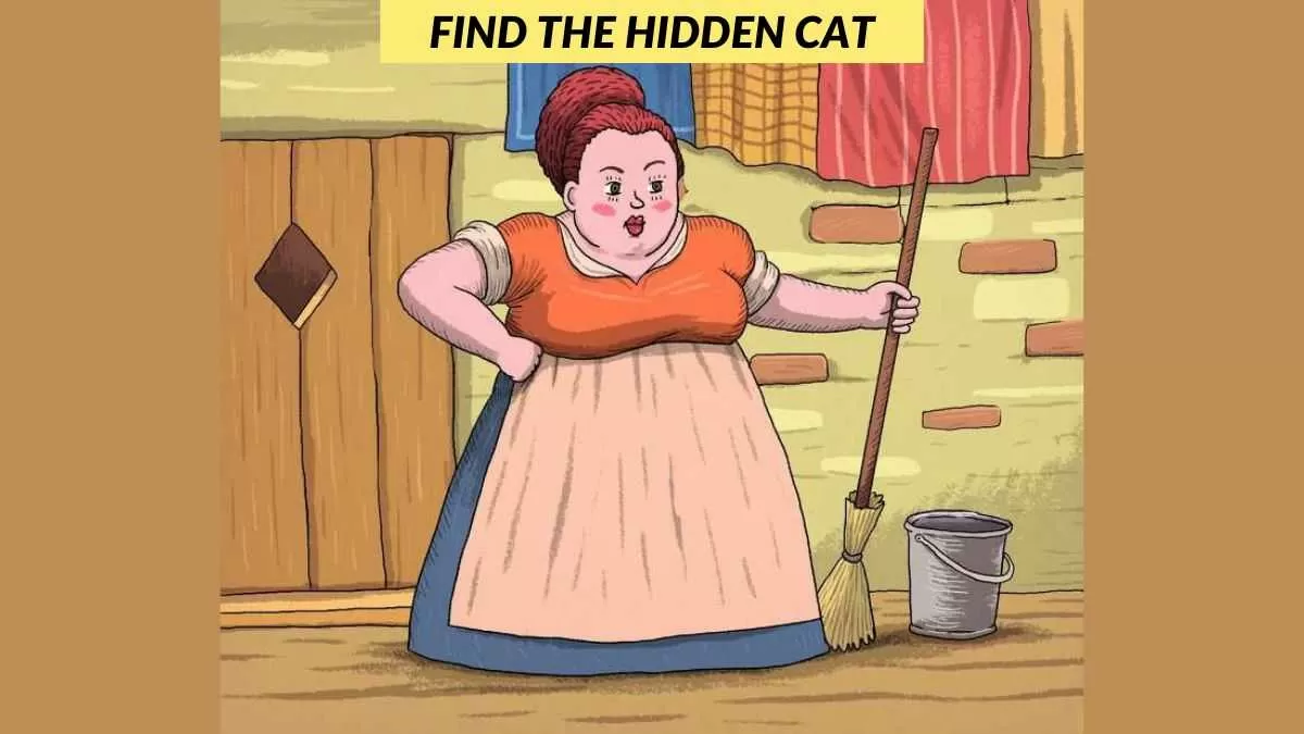 Find the hidden cat