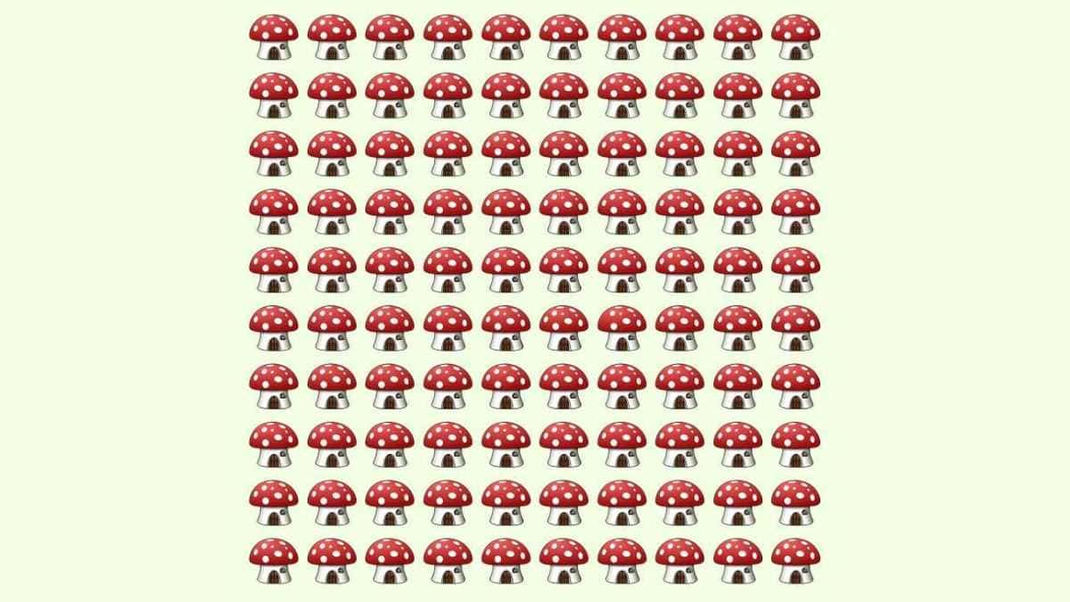 You have a razor-sharp brain if you can find the different mushroom in 7 seconds!