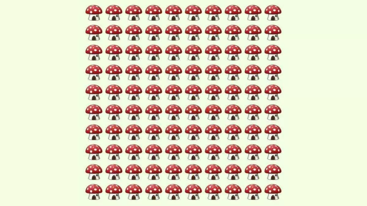 Find the different mushroom