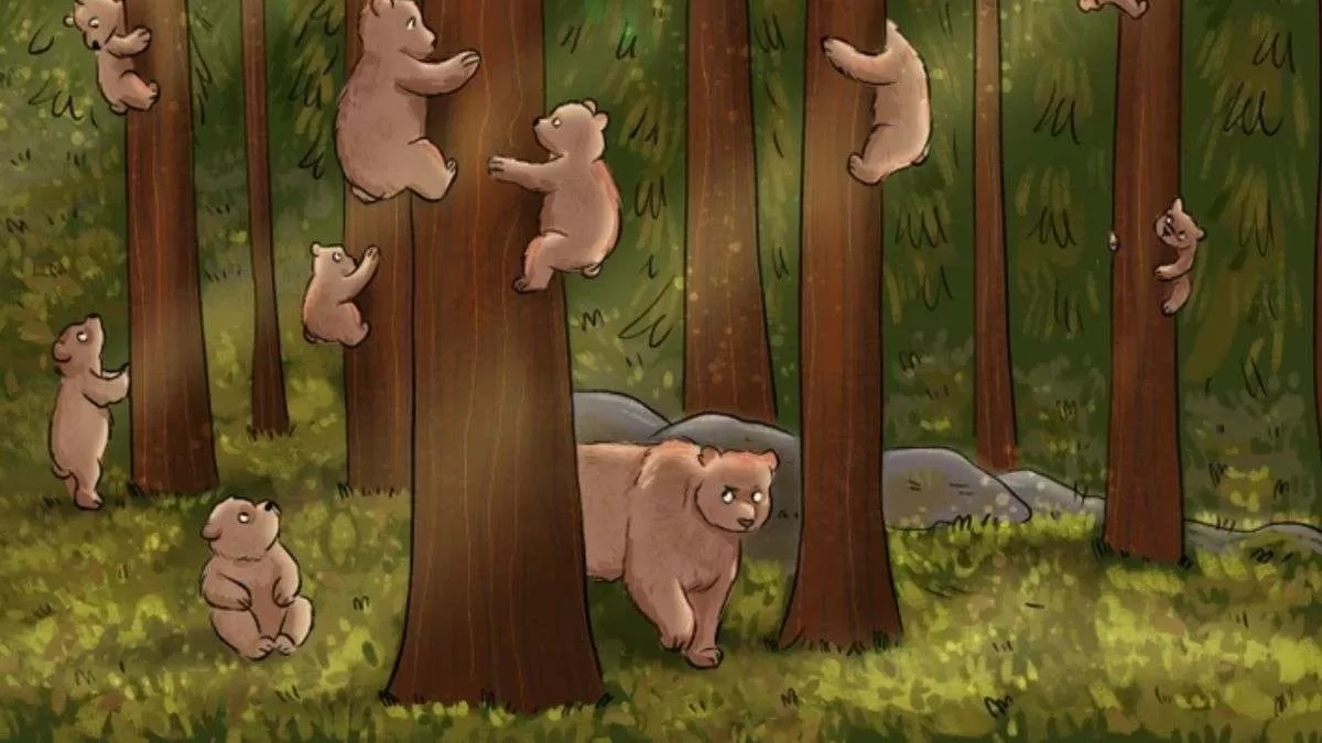 Spot Who Is Not A Bear.