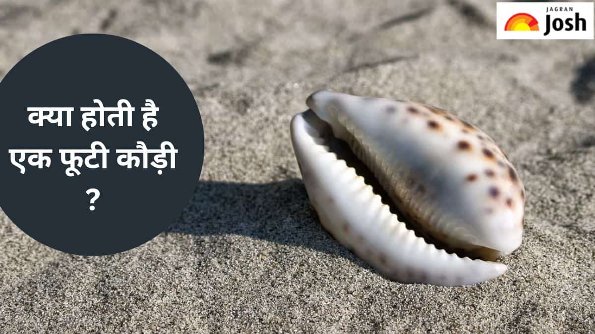 एक फूटी कौड़ी की कितनी होती थी कीमत, यहां जानें 