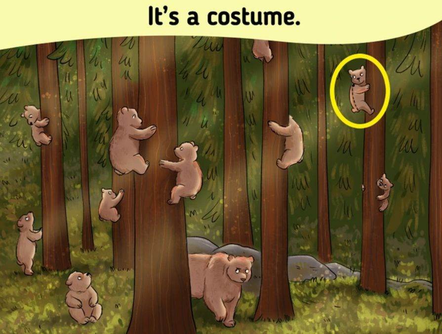 hidden optical illusions with answers
