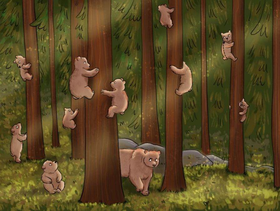 hidden optical illusions with answers