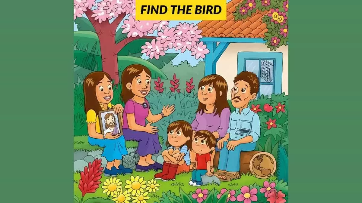 Find the bird
