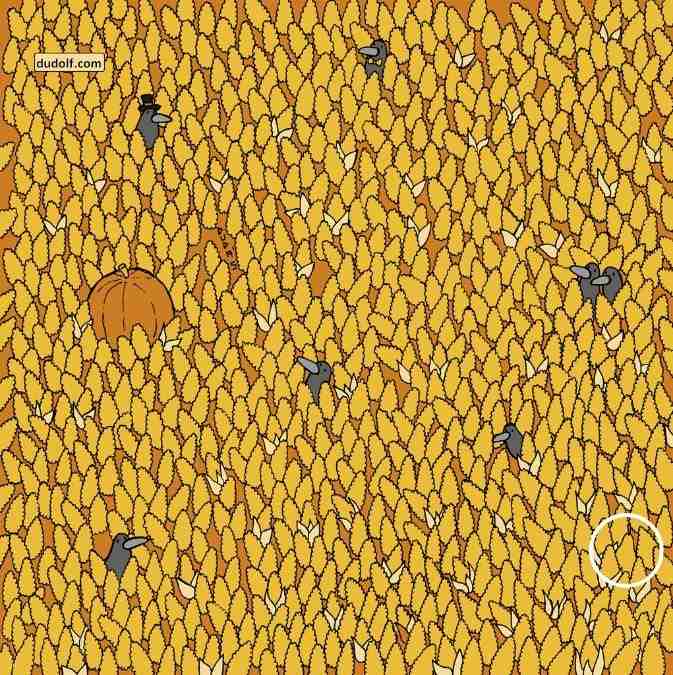 hidden picture puzzles with answers