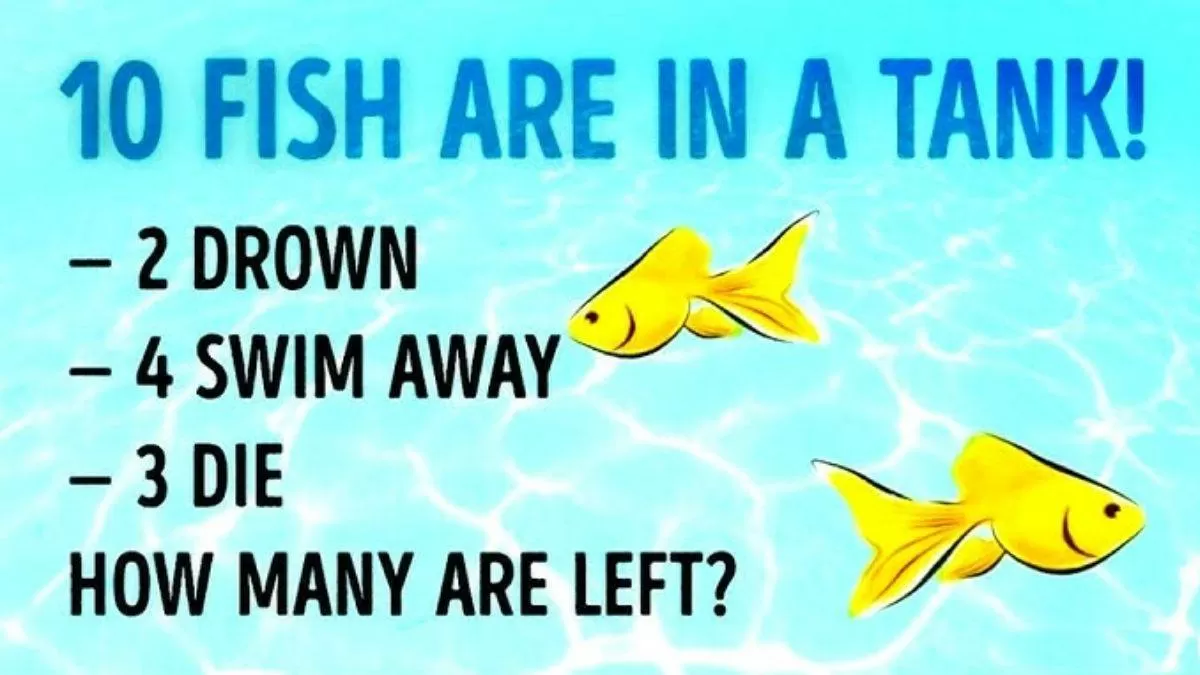 How Many Fish Are Left?