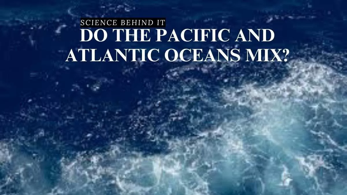 Why Dont The Pacific And Atlantic Mix Science Behind It: Do the Pacific and Atlantic Oceans Mix?