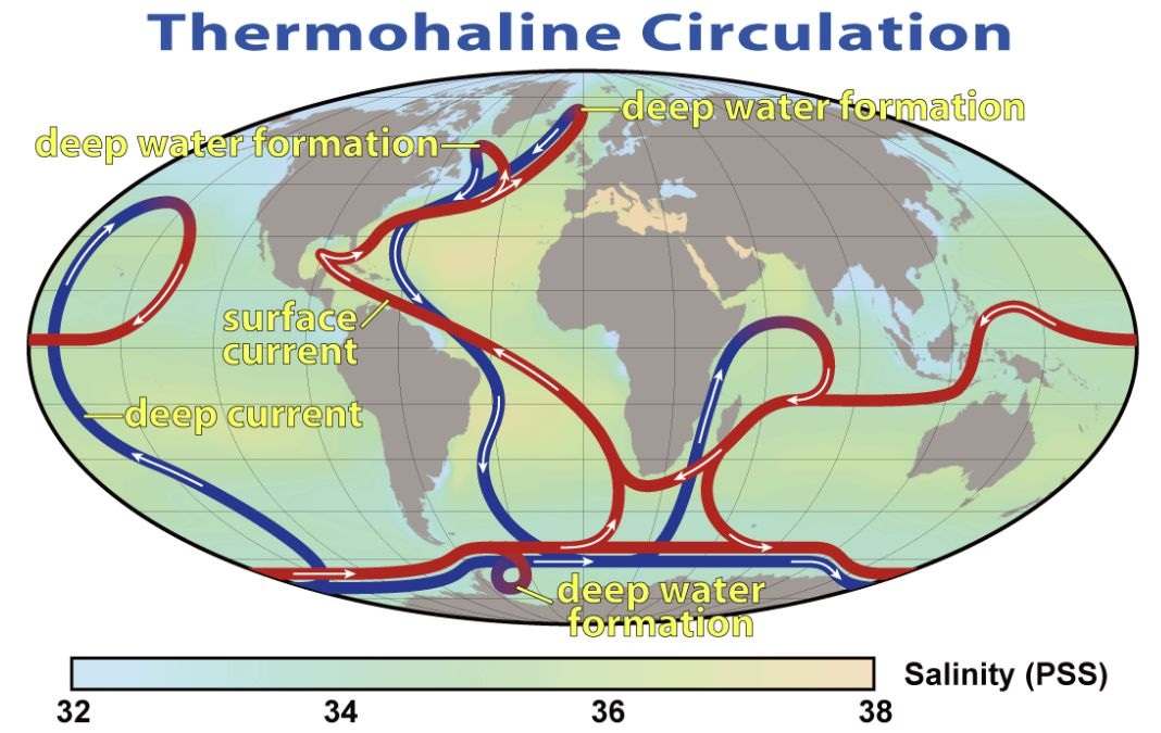 thermohaline circulation