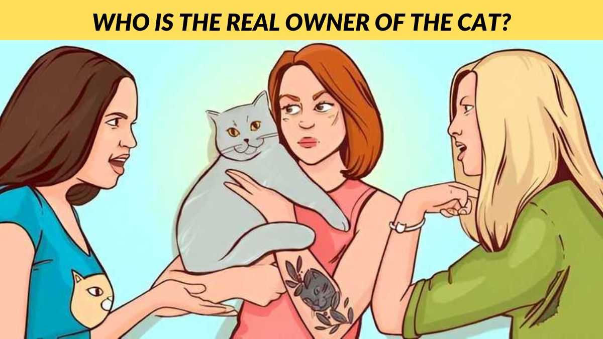 Only genius minds can find out the cat's real owner in 5 seconds!