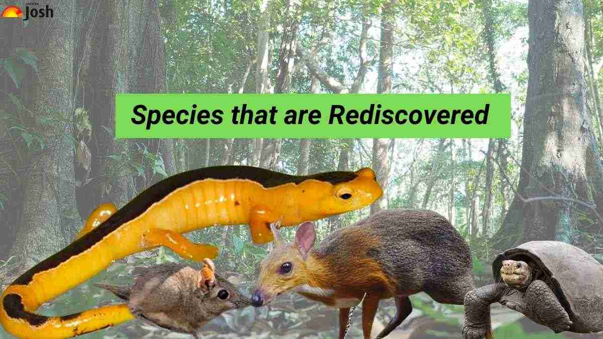What are the Eight Species that are Rediscovered After Being Lost for Decades?