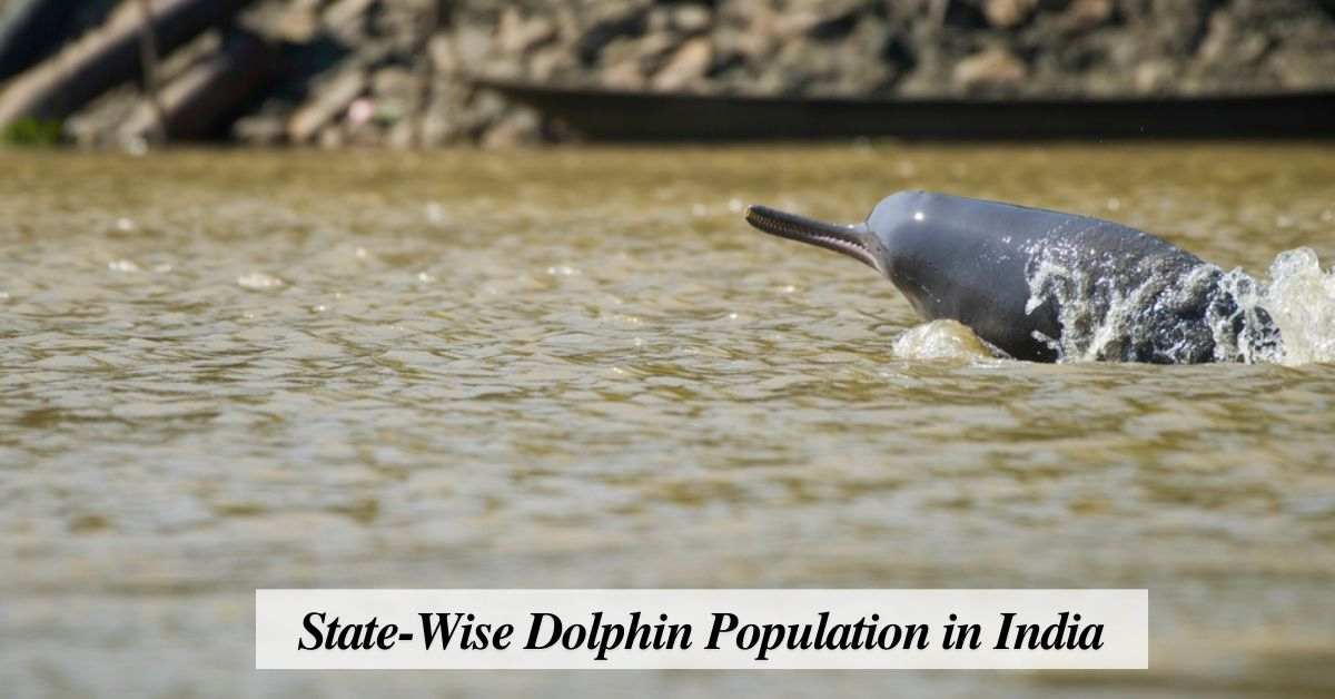  State-Wise Dolphin Population in India: A Detailed Overview