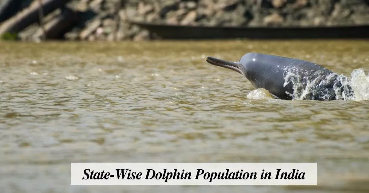 State-Wise River Dolphin Count in India