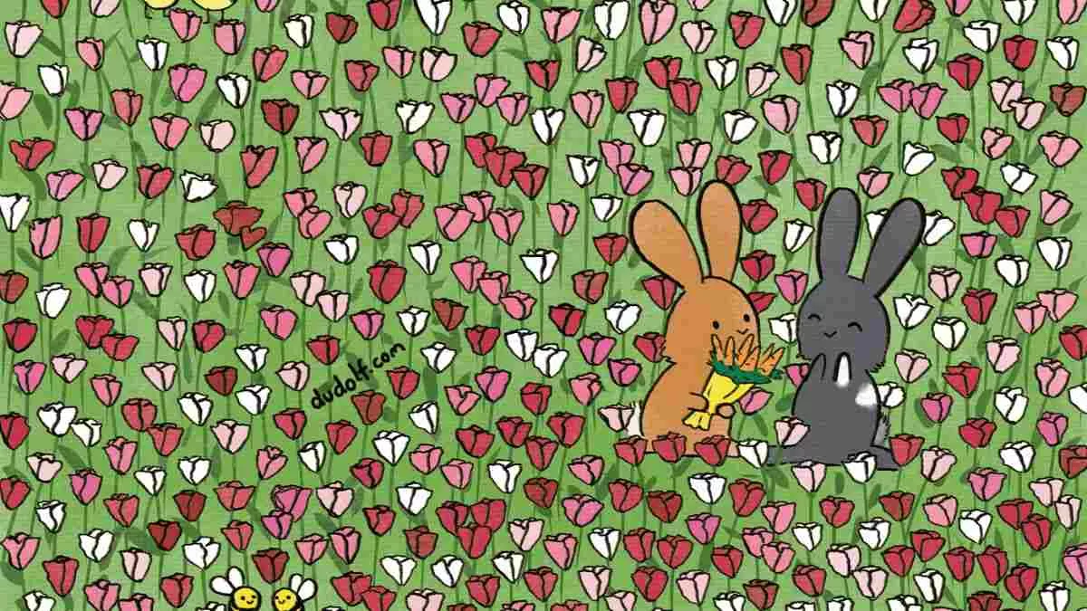 Spot Two Hearts.