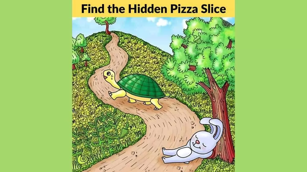 Find hidden pizza slice