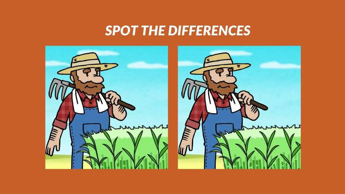 Spot 3 differences in 15 seconds